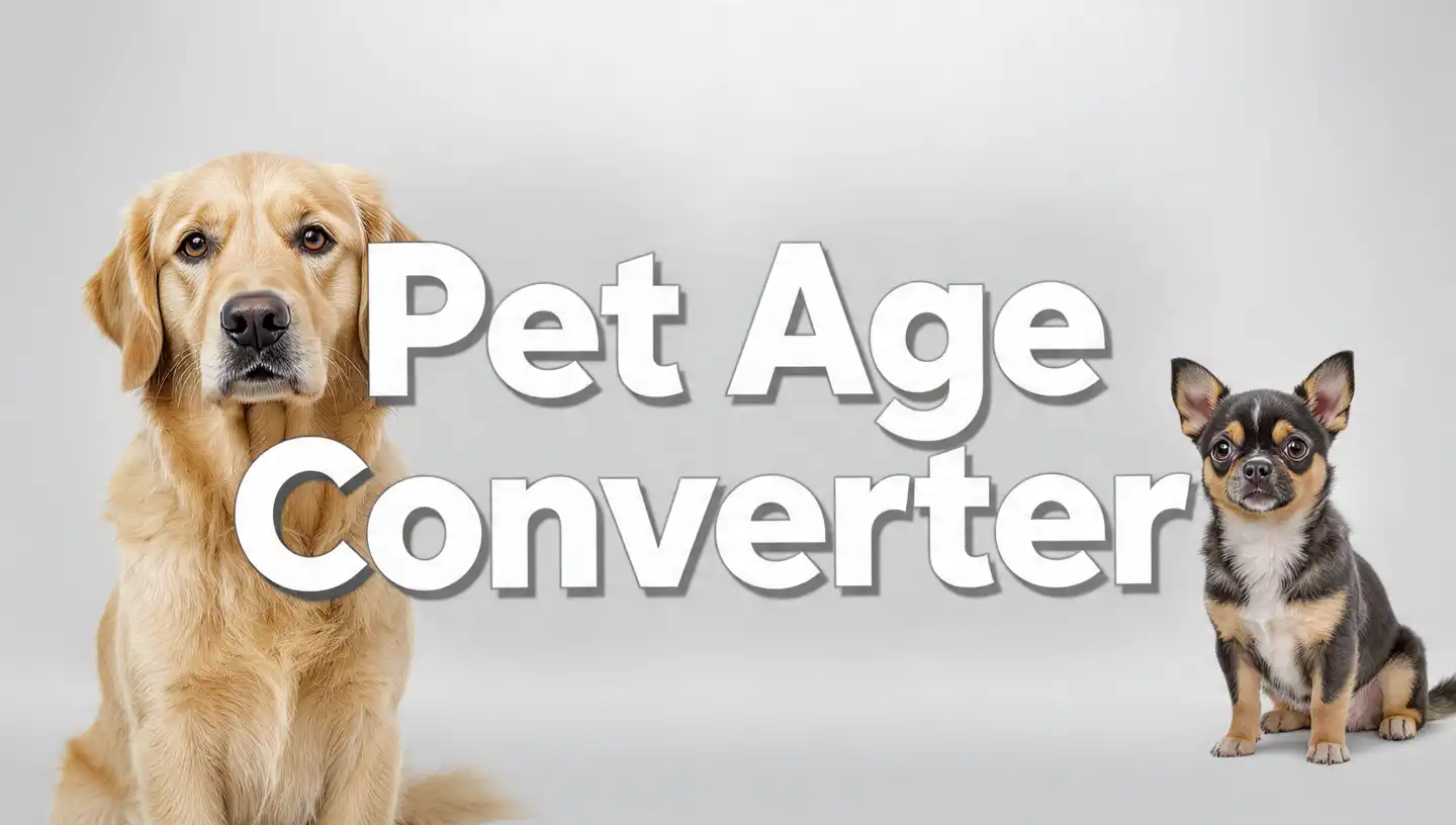 Pet Age Converter Calculator